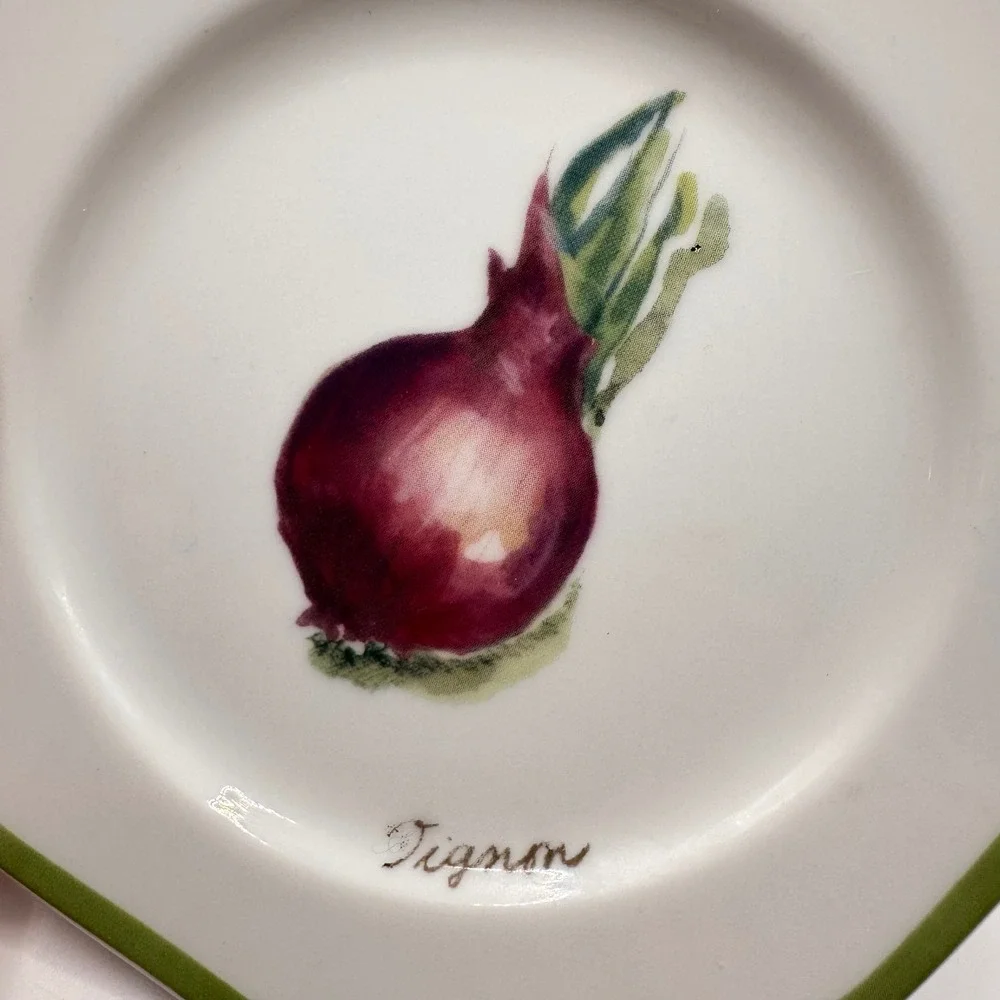 Williams-Sonoma Vegetable Garden Oignon Red Onion Octagonal Plate Japan 8.5